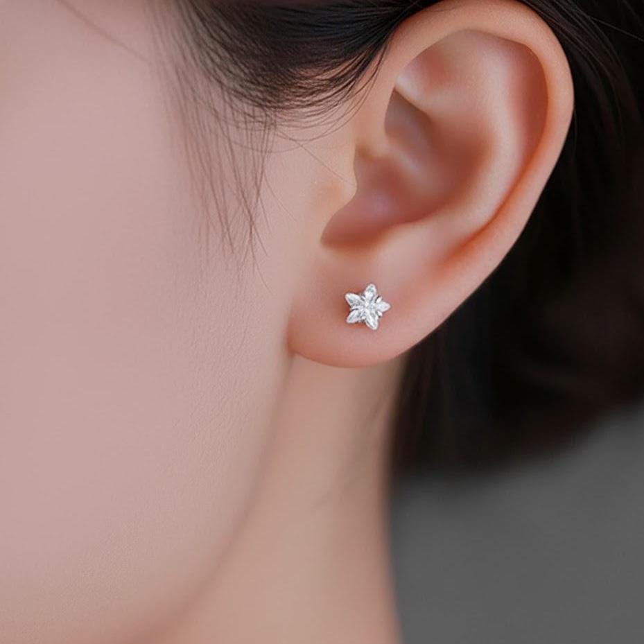 Sterling Silver Crystal Star Stud Earrings